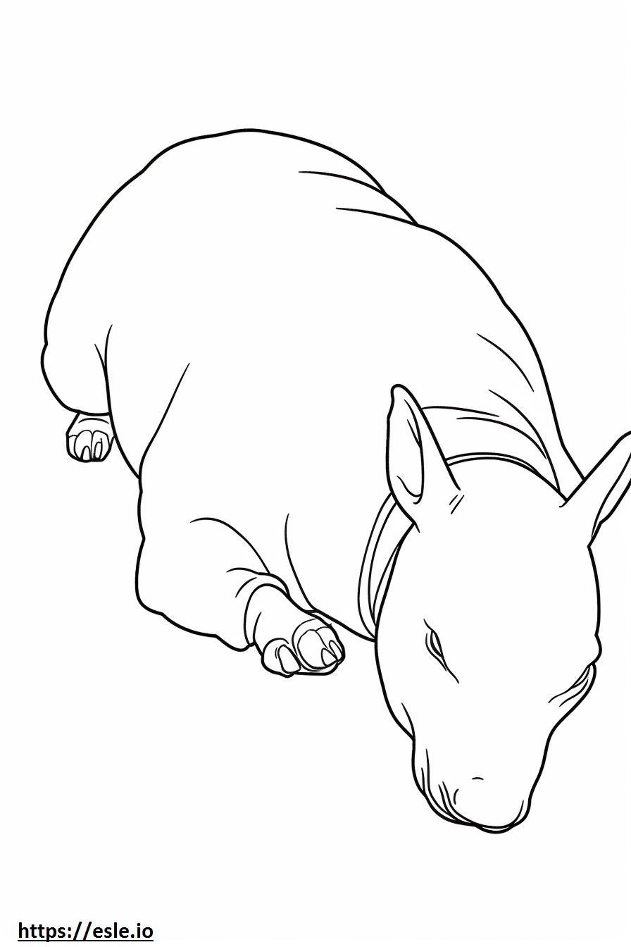 Bull Terrier Sleeping coloring page