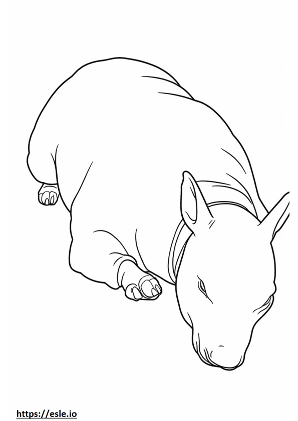 Coloriage Bull Terrier dormant à imprimer