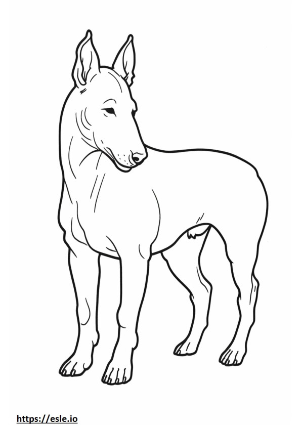 Bull Terrier Playing coloring page