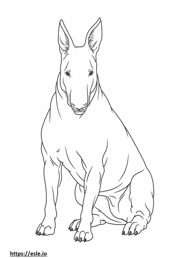 Bull Terrier Friendly coloring page