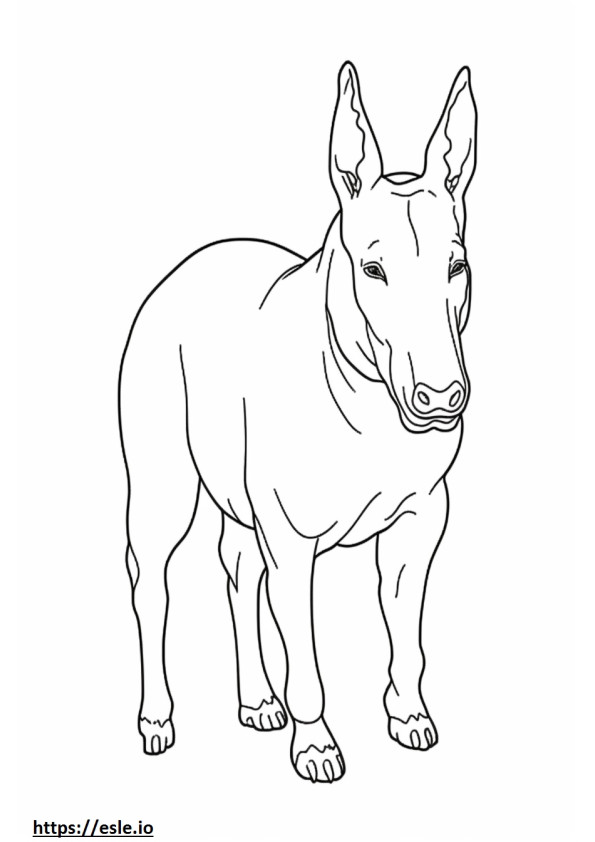 Bull Terrier Friendly coloring page