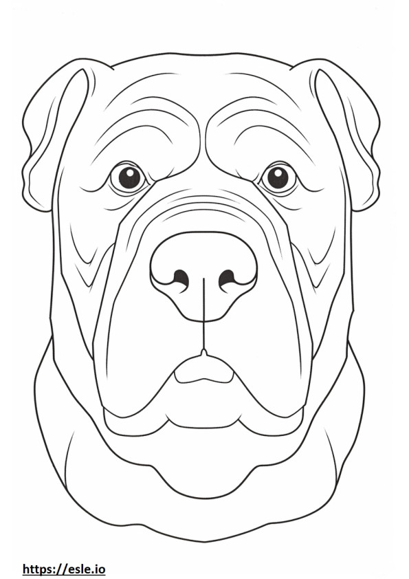 Bulldog-gezicht kleurplaat