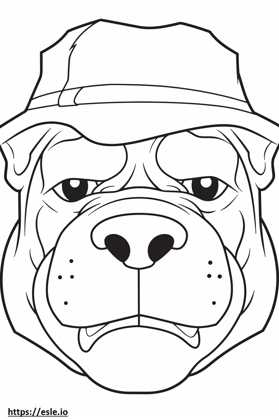 Bulldogin kasvot värityskuva