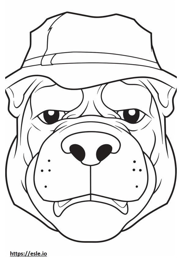 Bulldogin kasvot värityskuva