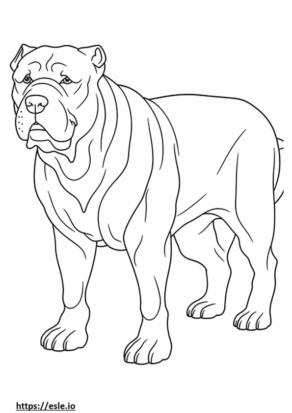 Bulldog tot corpul de colorat