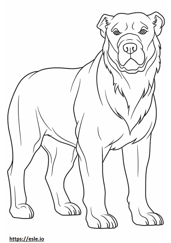 Bulldog full body coloring page