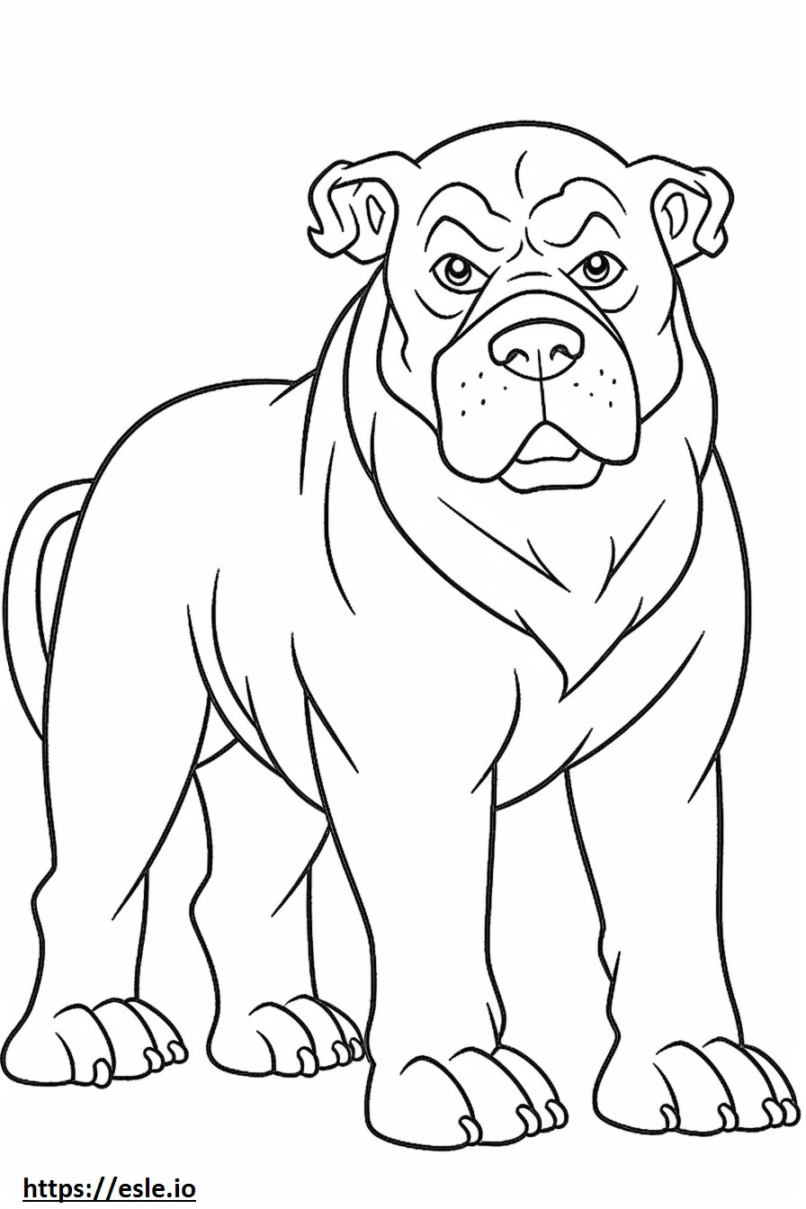 Bulldog kokovartalo värityskuva