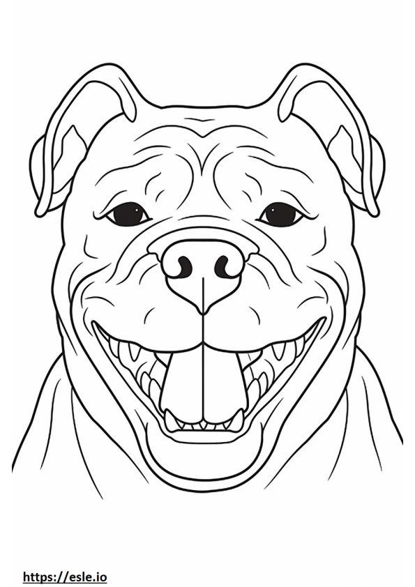 Bulldog gülümseme emojisi boyama