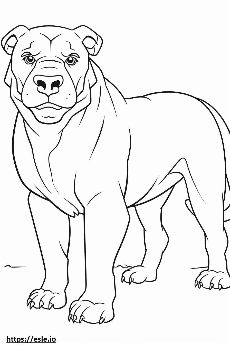 Bulldog cute coloring page