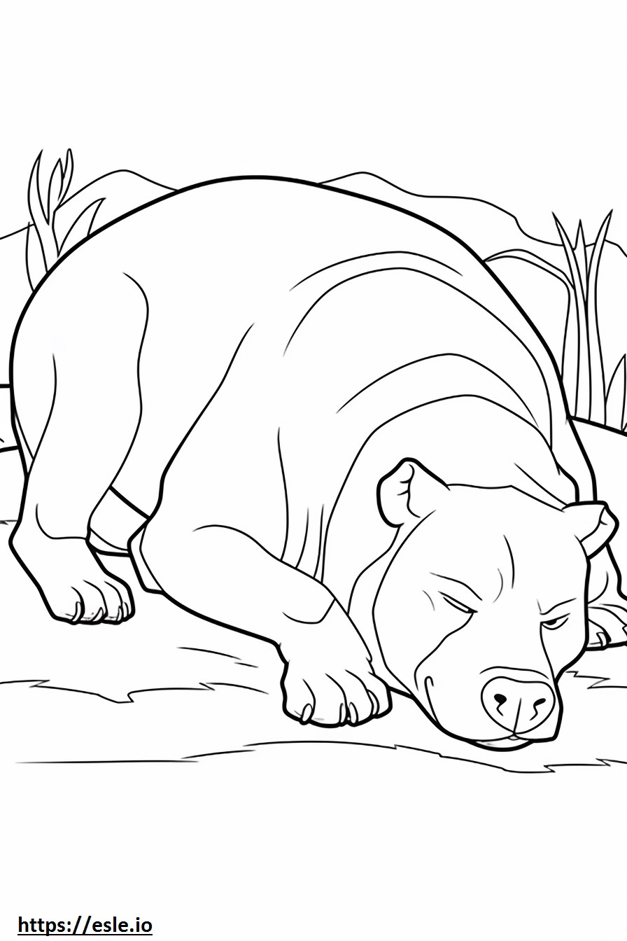 Bulldoggi nukkuu värityskuva