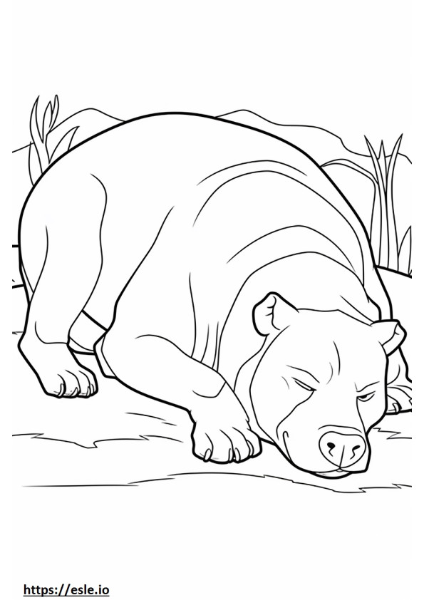 Bulldoggi nukkuu värityskuva