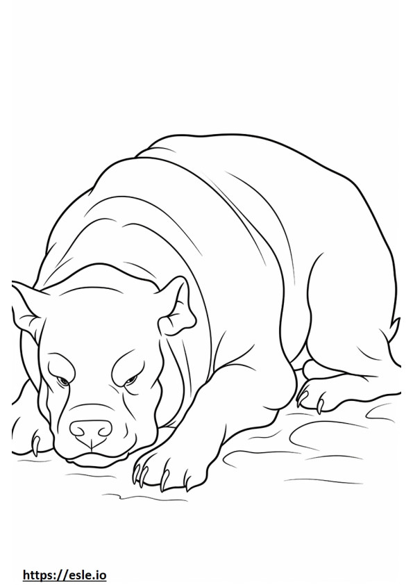 Bulldog durmiendo para colorear e imprimir
