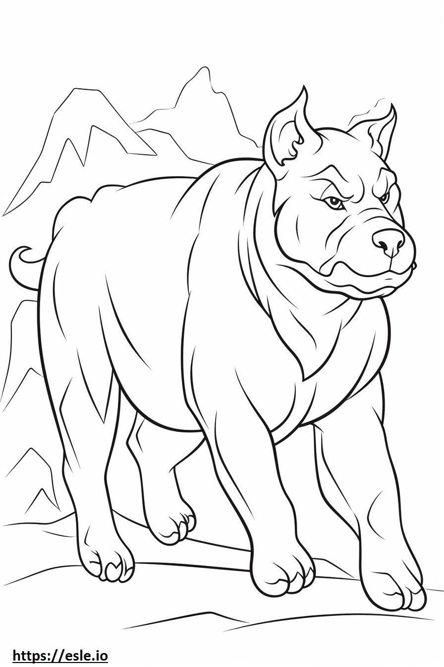 Bulldog che gioca da colorare