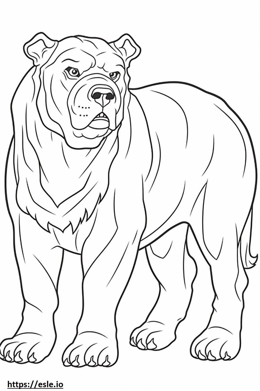 Bulldog-vriendelijk kleurplaat kleurplaat