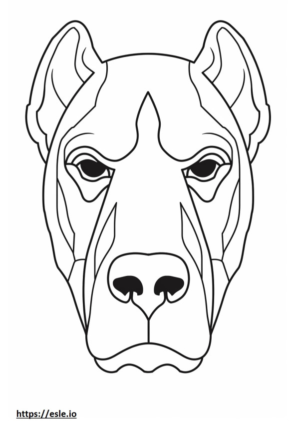 cara de bullmastiff para colorear e imprimir