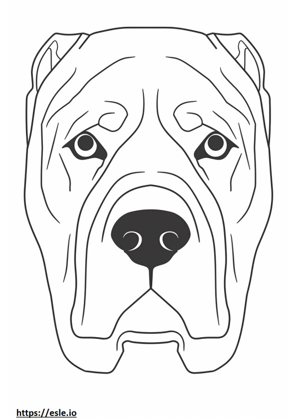 Bullmastiffin kasvot värityskuva