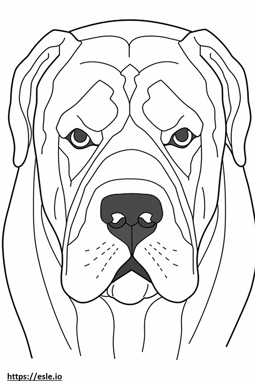 Bullmastiff face coloring page