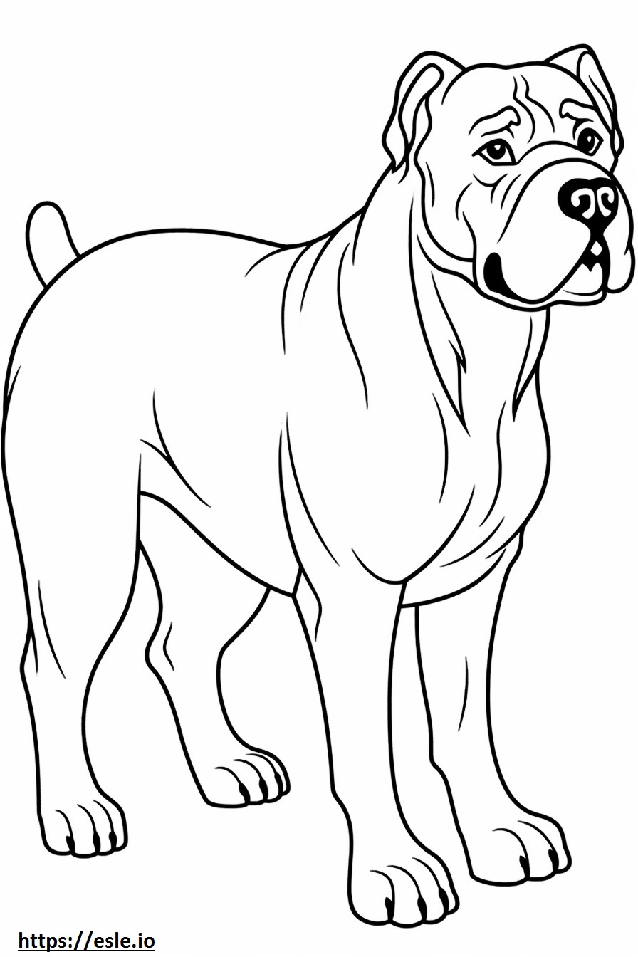 Bullmastiff-tekenfilm kleurplaat kleurplaat