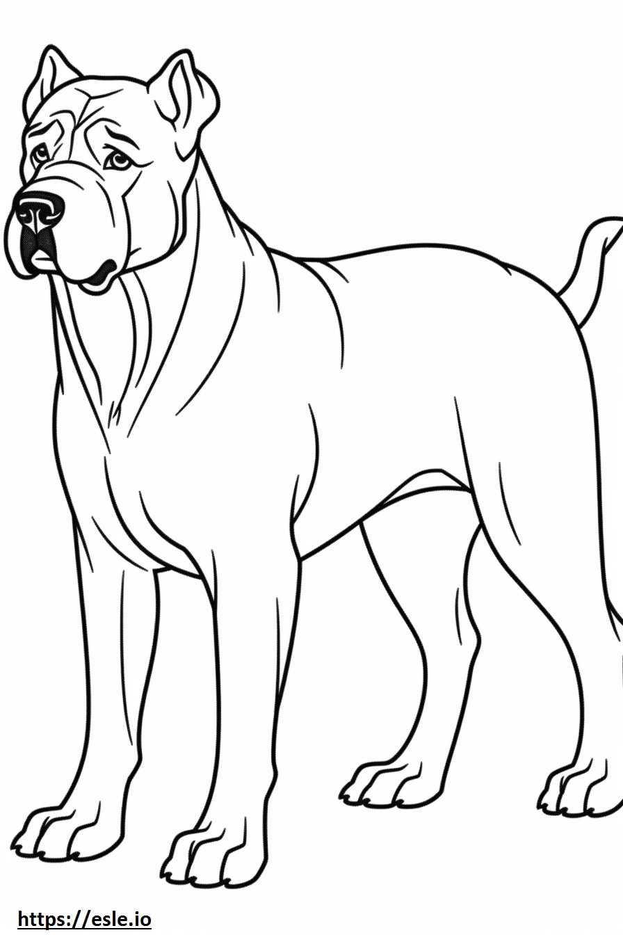 Coloriage Caricature de Bullmastiff à imprimer