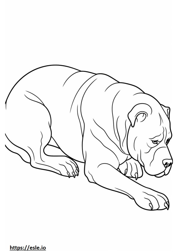 Bullmastiff Sleeping coloring page