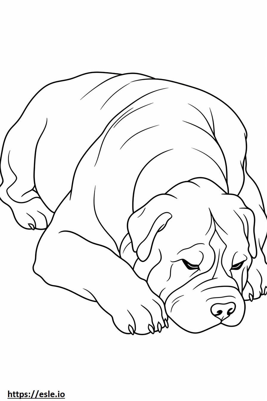 Coloriage Bullmastiff endormi à imprimer
