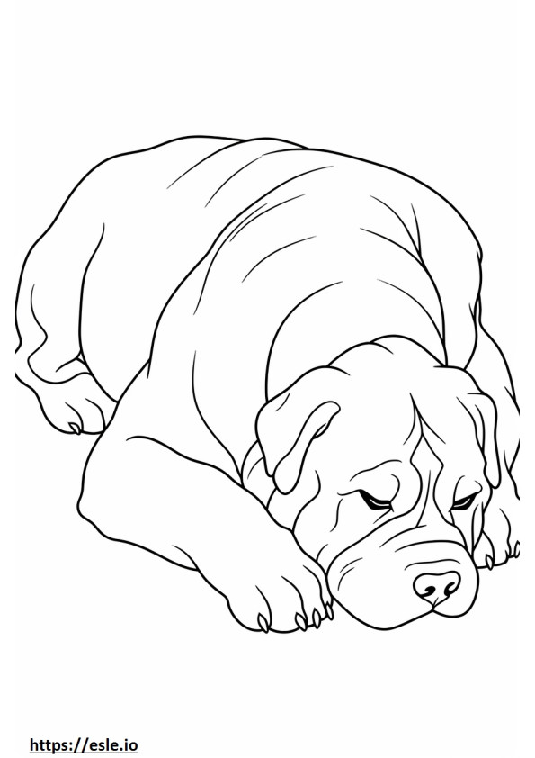 Bullmastiffi nukkuu värityskuva