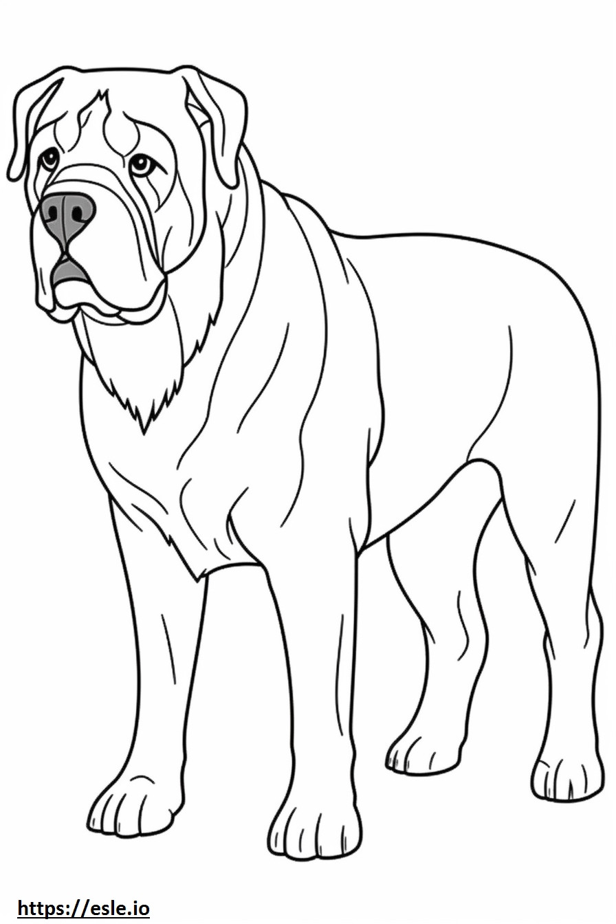 Bullmastiff Friendly coloring page