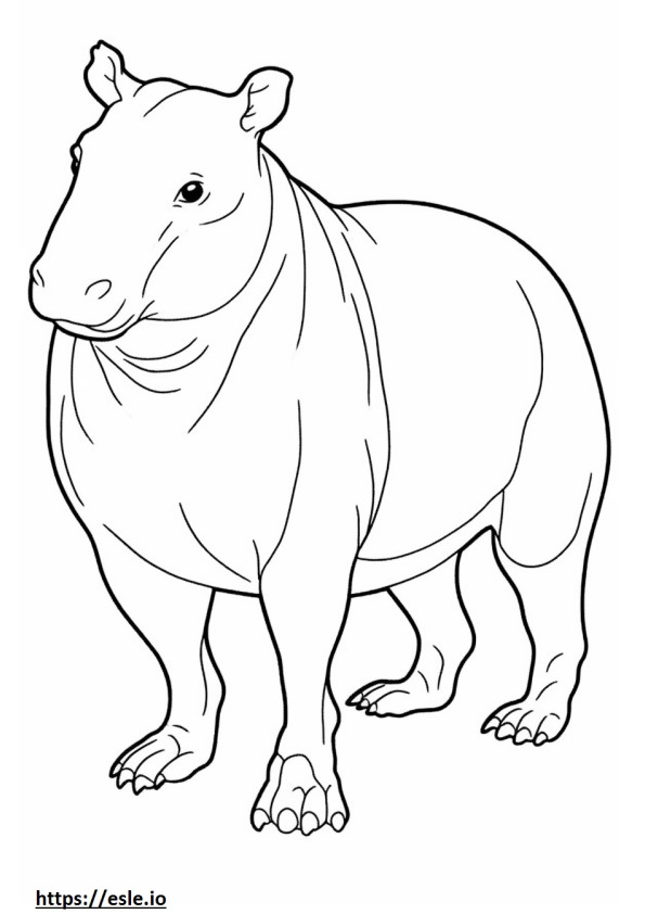 Burmese full body coloring page