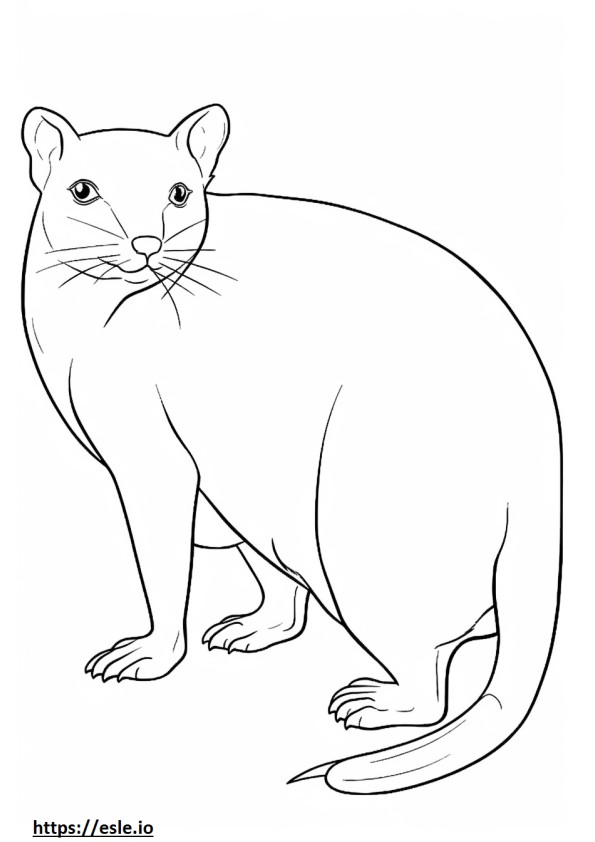 Burmese full body coloring page