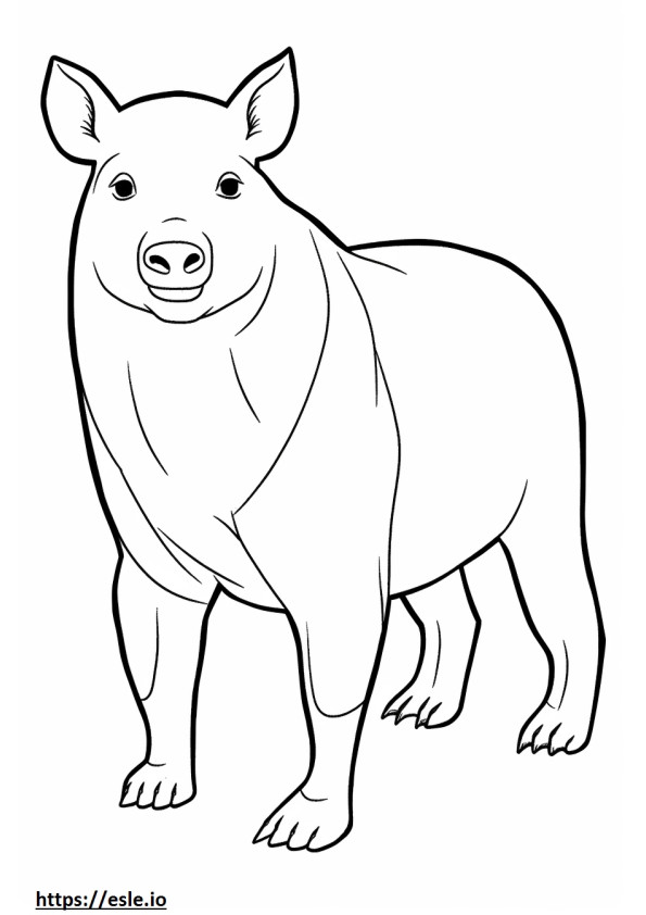 Burmese baby coloring page
