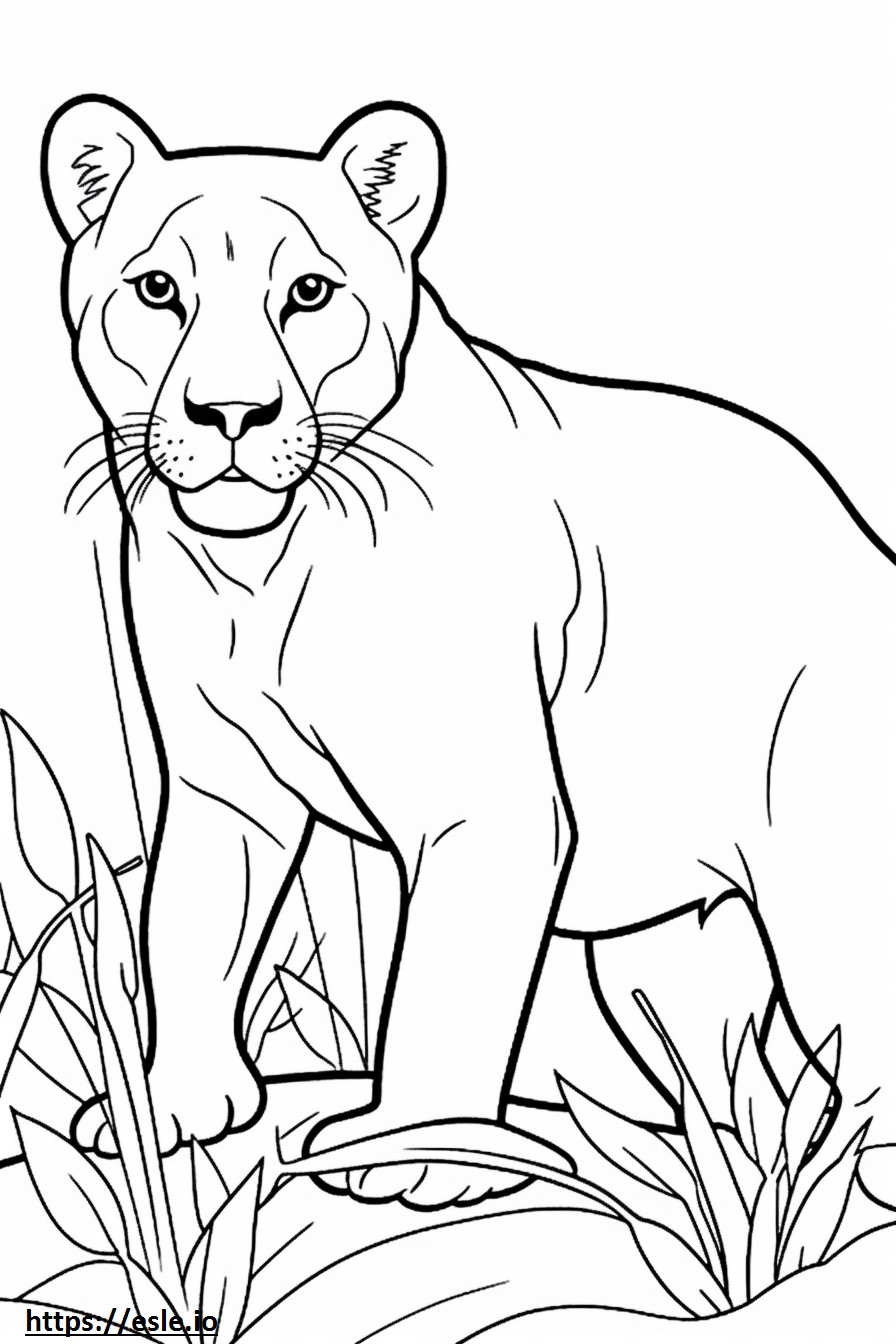 Burmese Friendly coloring page