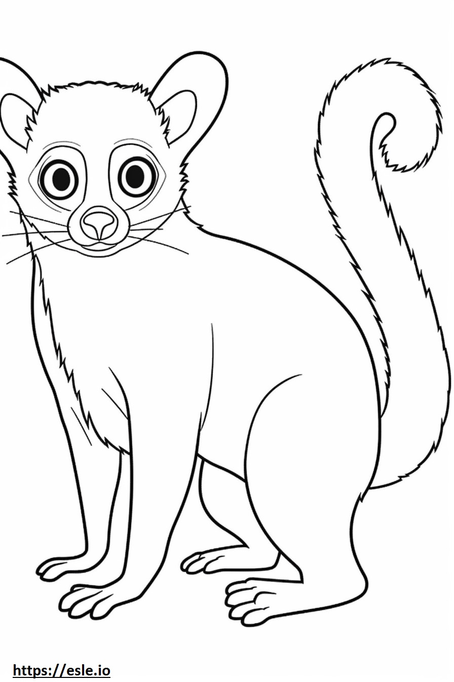 Bush Baby full body coloring page