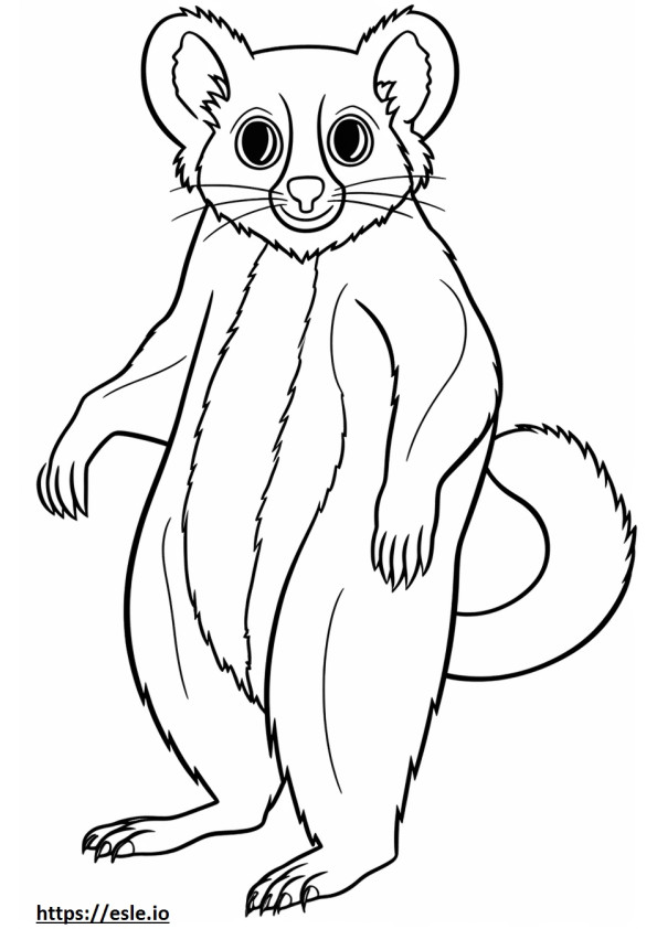 Bush Baby full body coloring page