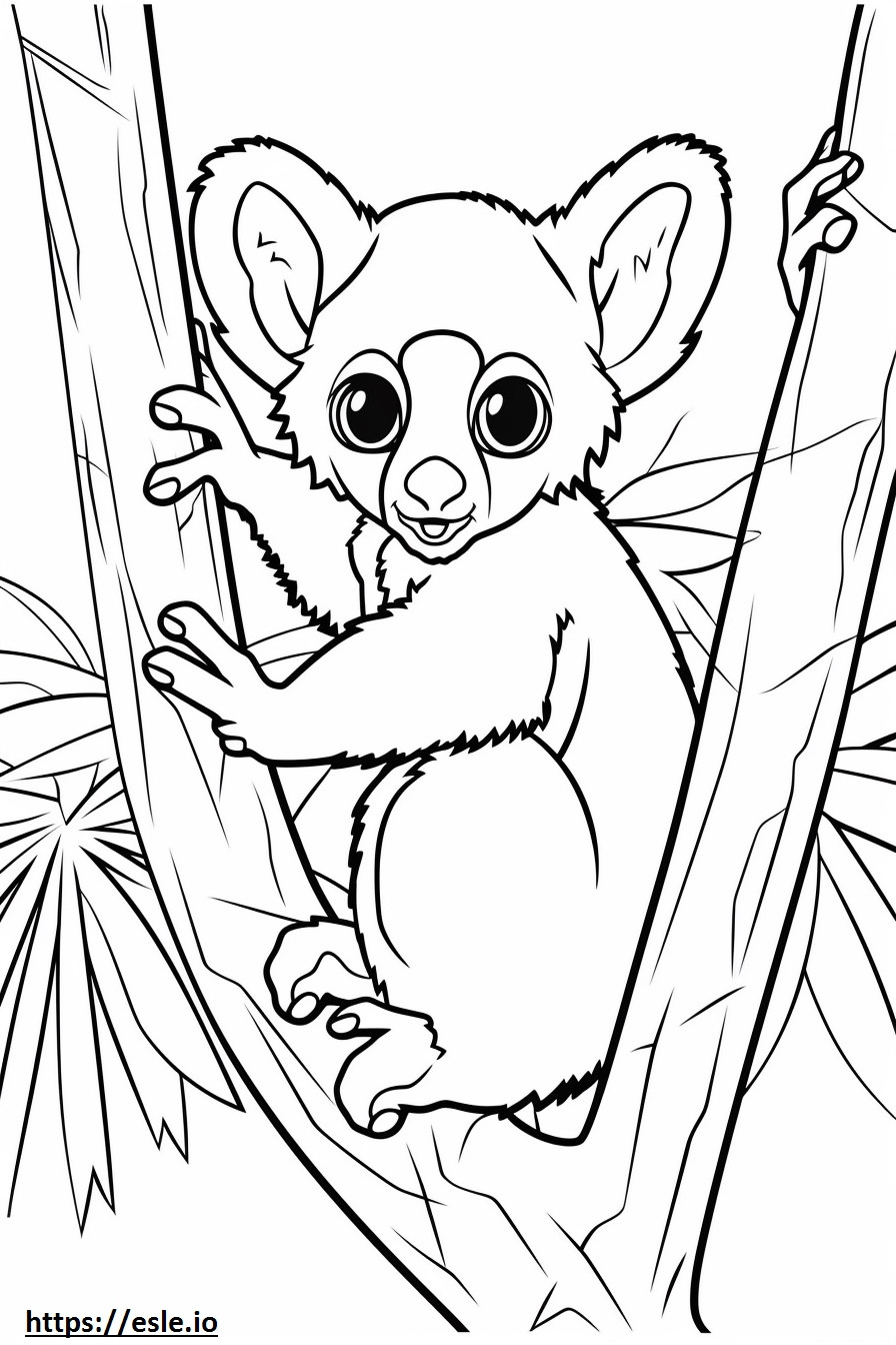 Bush Baby cute coloring page