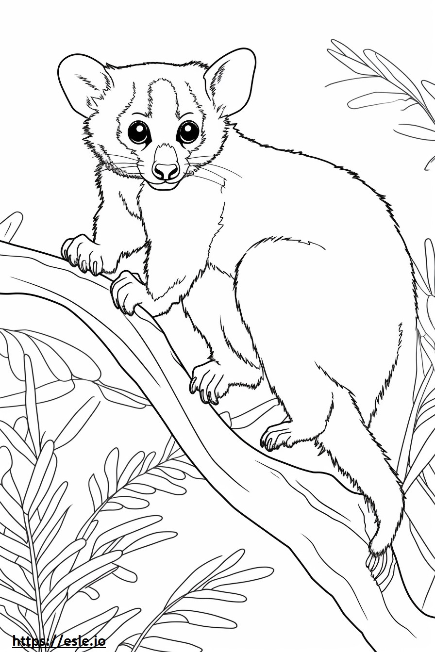 Bush Baby Playing coloring page