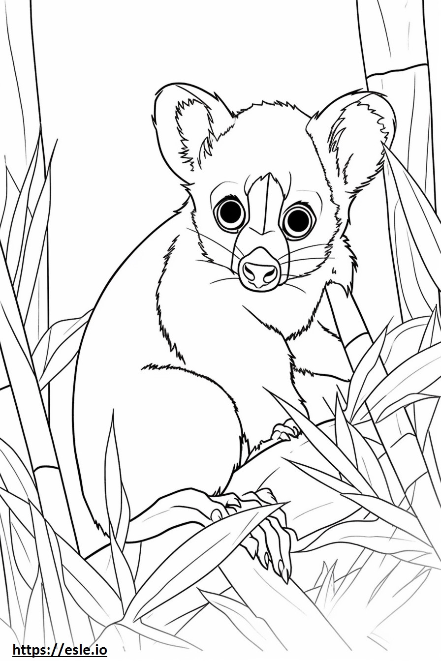 Bush Baby Friendly coloring page