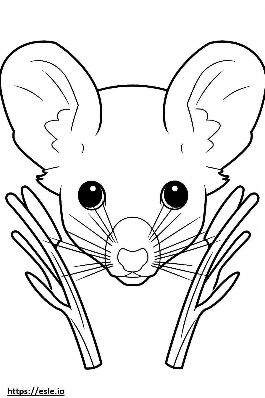Cactus Mouse face coloring page