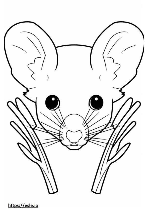 Cactus Mouse kasvot värityskuva