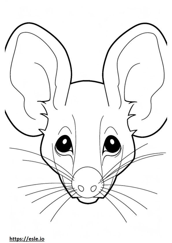 Cara de rato cacto para colorir