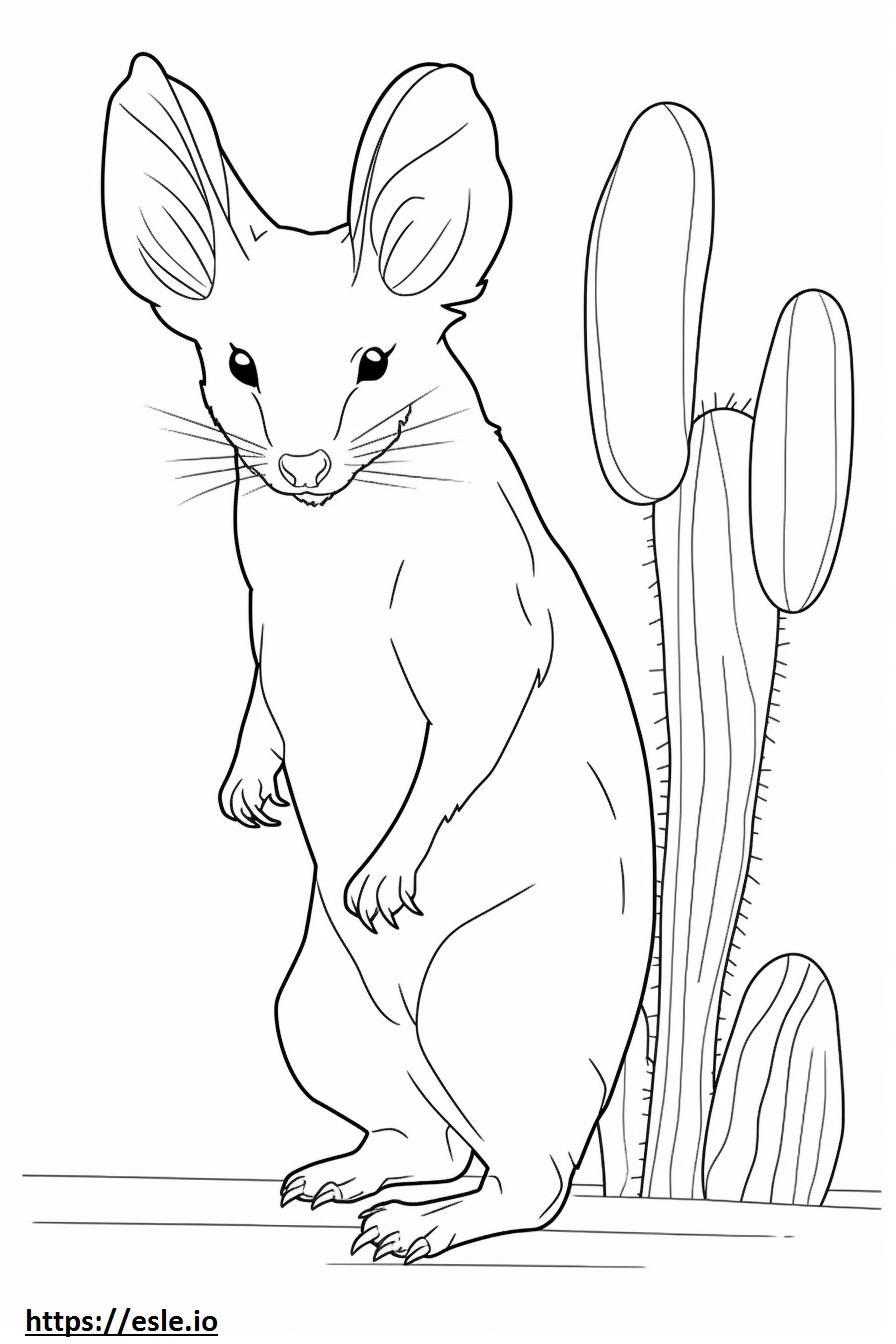 Cactus Mouse full body coloring page
