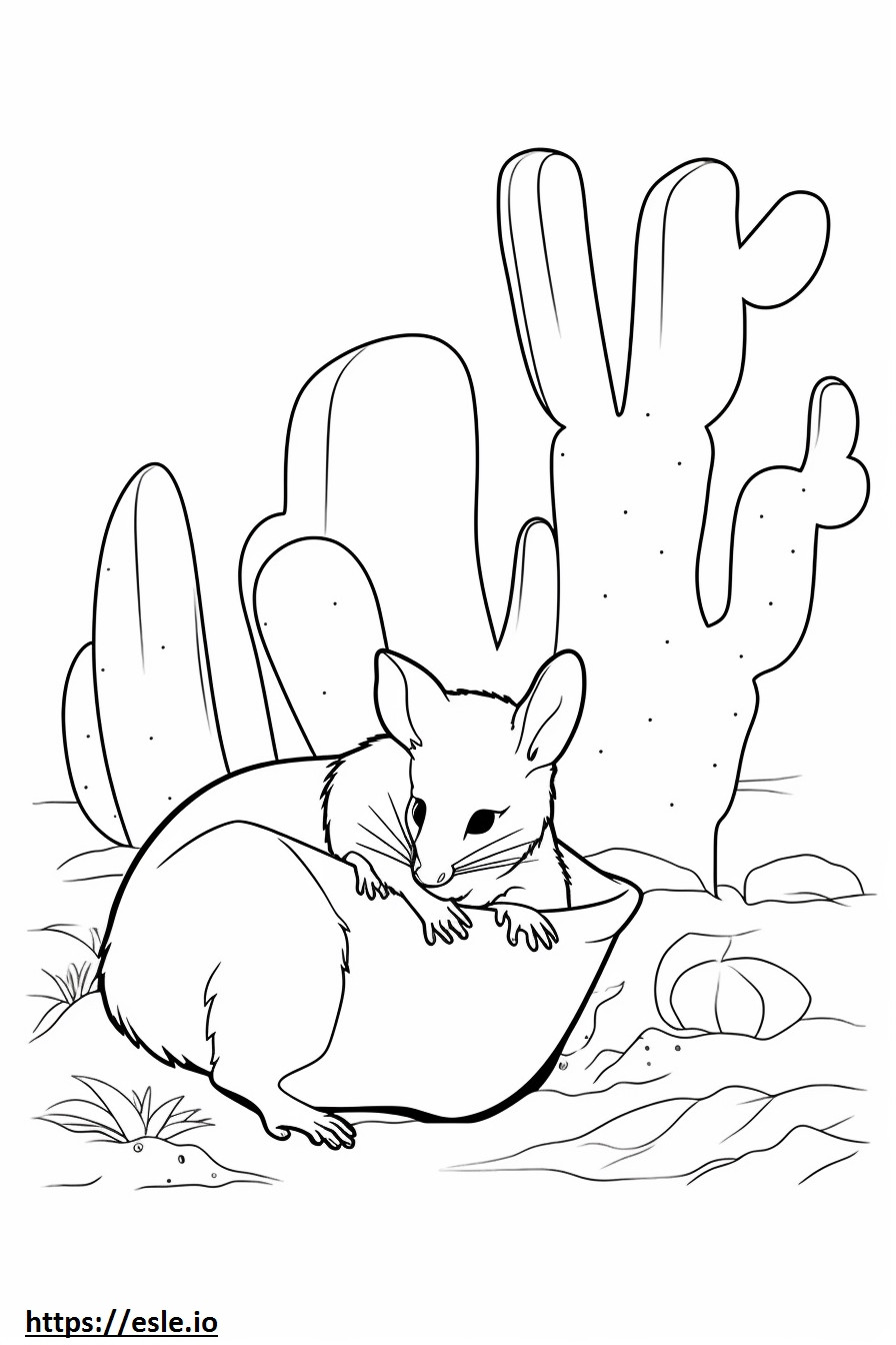 Cactus Mouse vauva värityskuva