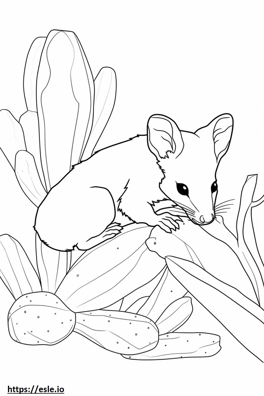 Dibujos animados de ratón cactus para colorear e imprimir