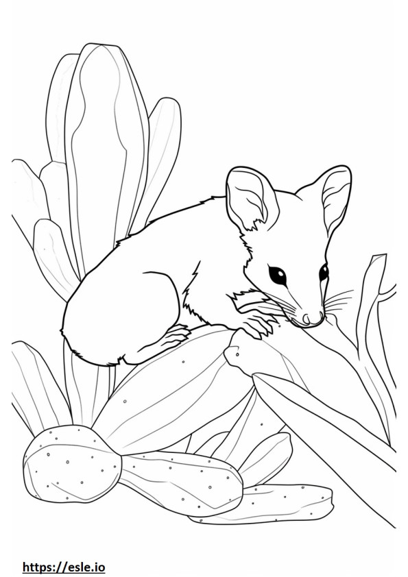 Kaktus-Maus-Cartoon ausmalbild