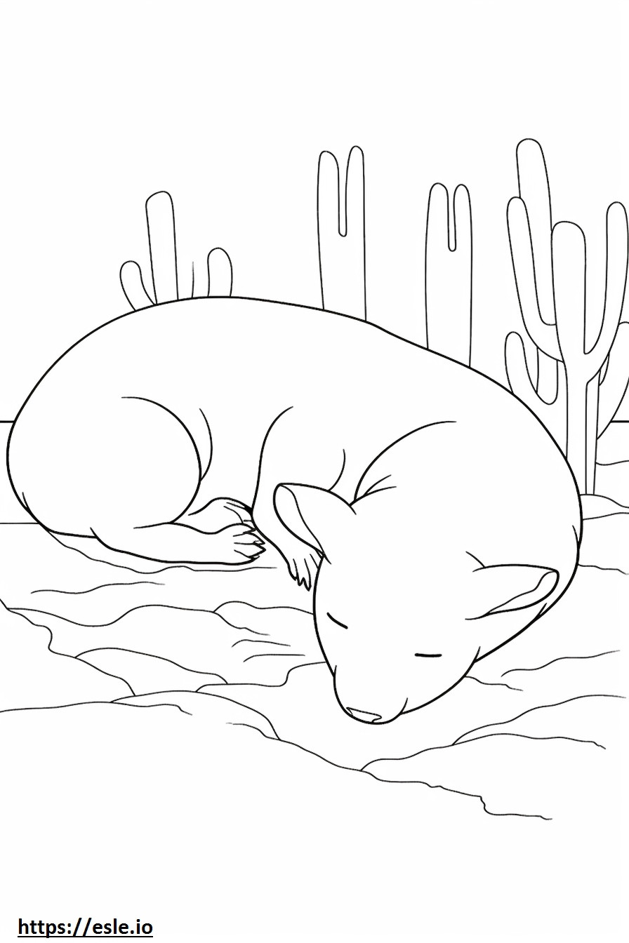 Cactusmuis slaapt kleurplaat kleurplaat