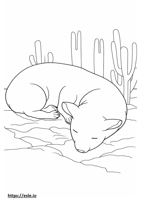 Kaktushiiri nukkuu värityskuva