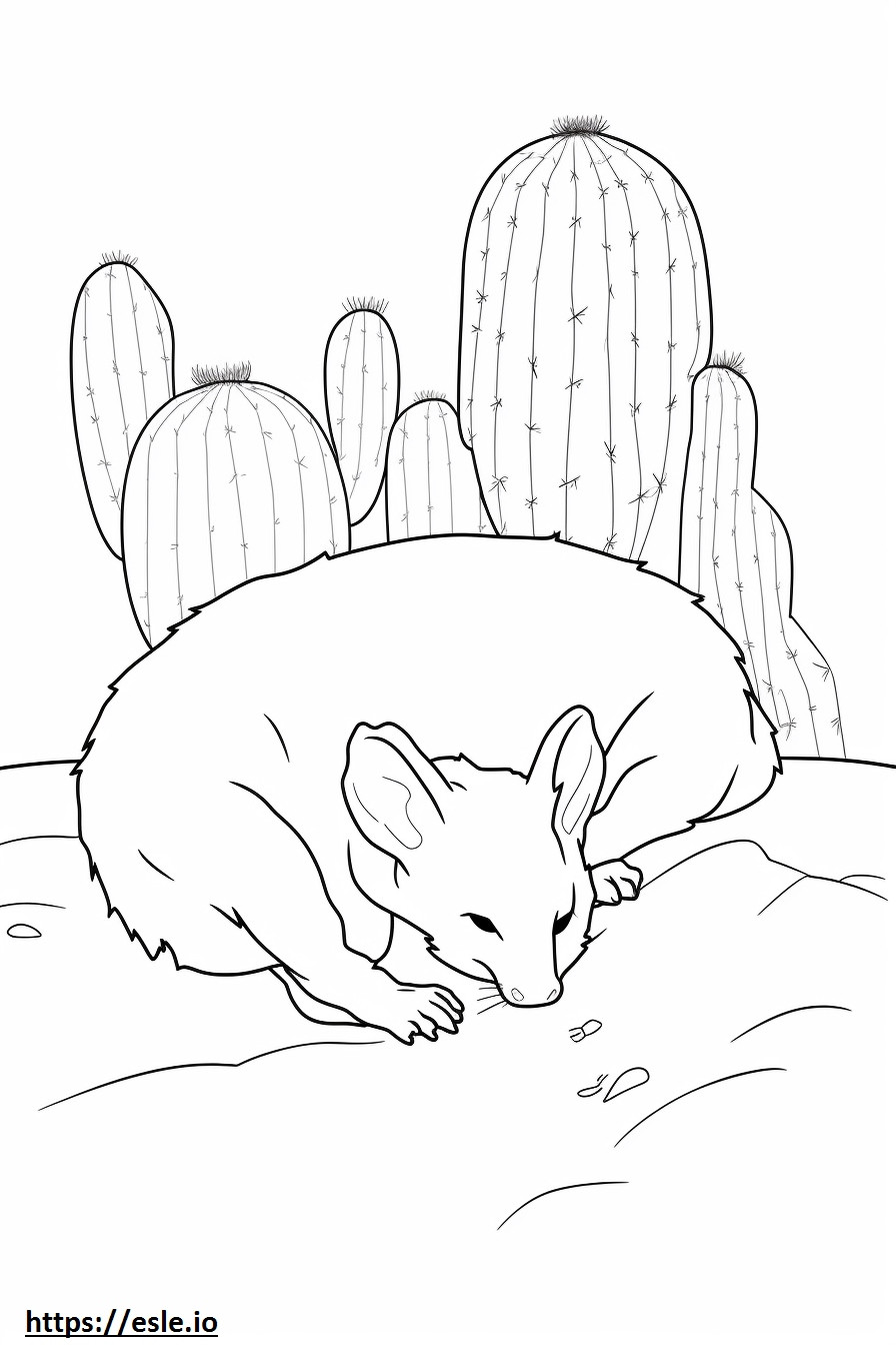 Coloriage Cactus, souris, dormir à imprimer