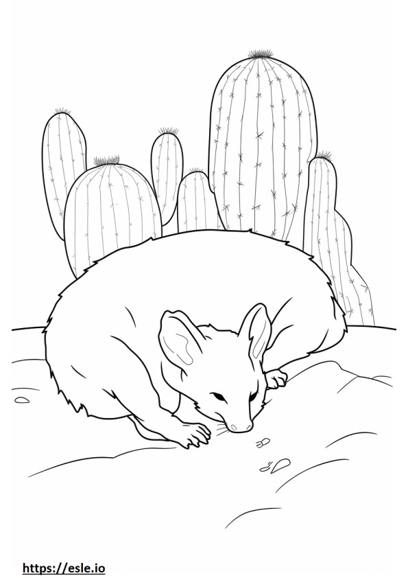 Kaktushiiri nukkuu värityskuva