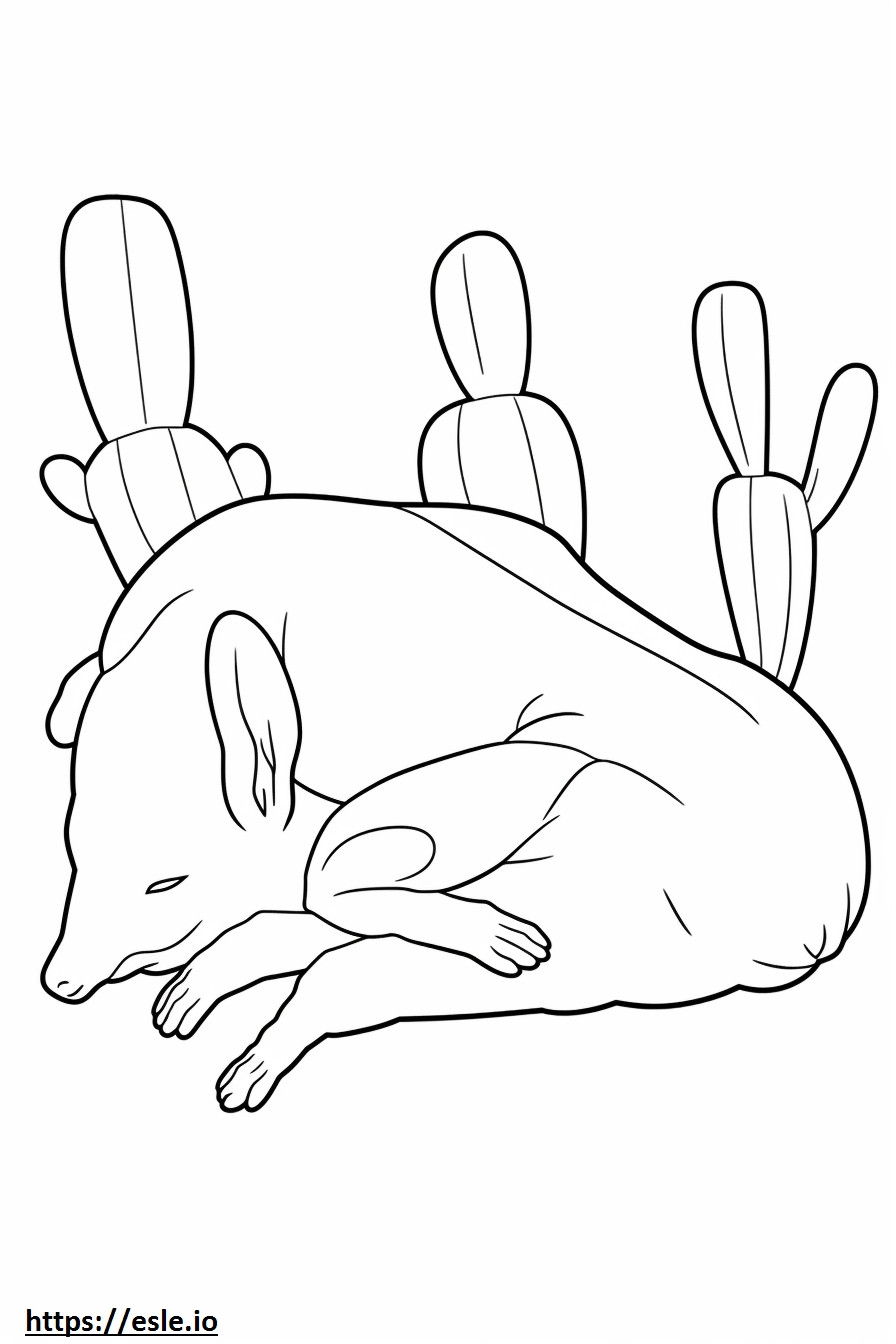 Cactus Mouse Sleeping coloring page