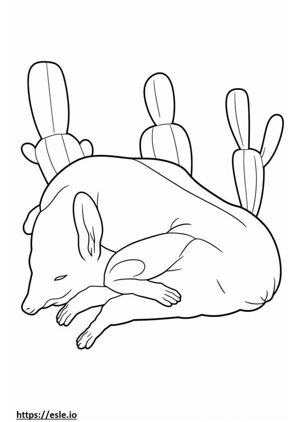 Cacto Rato Dormindo para colorir