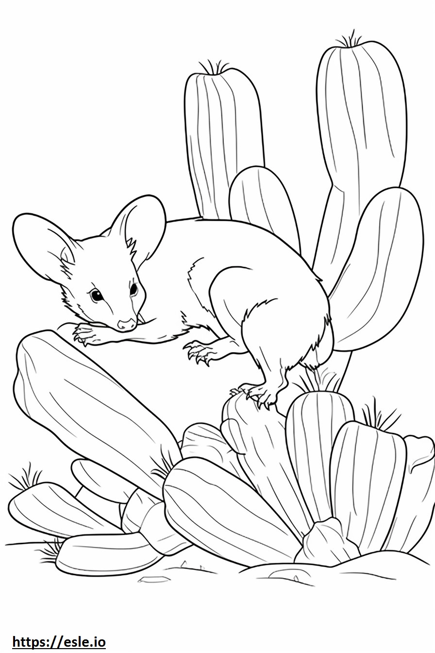 Cactus Ratón Jugando para colorear e imprimir